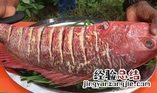 鲷鱼的营养价值 鲷鱼的营养价值与功效