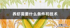 淡水养虾需要什么条件和技术 养虾需要什么条件和技术