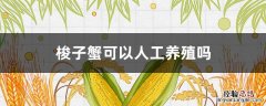 梭子蟹可以人工养殖吗 梭子蟹可以人工养殖吗?