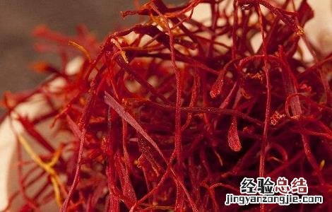 藏红花泡水喝的禁忌和注意事项 藏红花泡水喝的禁忌和注意事项有哪些