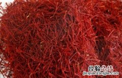 藏红花泡水喝的禁忌和注意事项 藏红花泡水喝的禁忌和注意事项有哪些