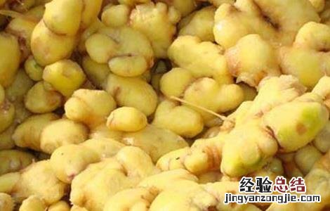 生姜水洗头能生发吗 生姜水洗头能生发吗女生