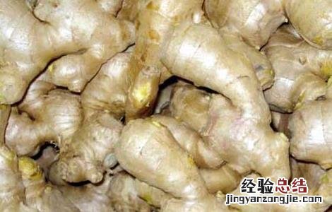 生姜擦头皮的正确方法 生姜擦头皮的正确方法图片