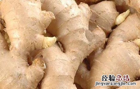 生姜如何祛斑才有效果 生姜如何祛斑才有效果?