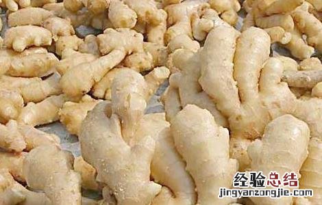 生姜如何祛斑才有效果 生姜如何祛斑才有效果?