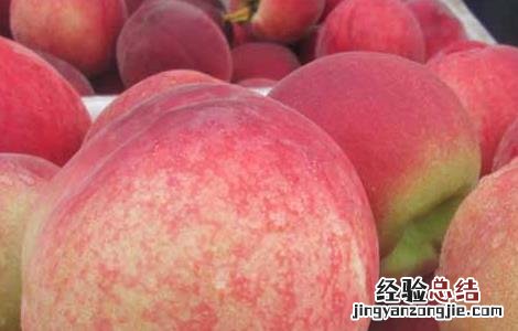 吃桃子会不会长胖 吃桃子真的会长胖吗