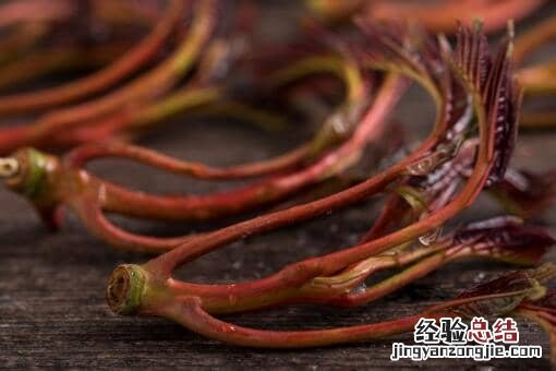 香椿芽多少钱一斤? 香椿芽多少钱一斤现在