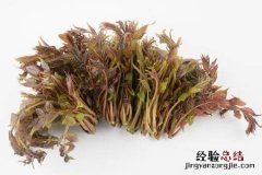 上海香椿九十一斤 上海香椿120元一斤！为什么卖这么贵