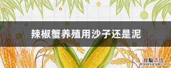 辣椒蟹养殖用沙子还是泥 辣椒蟹需要泥吗