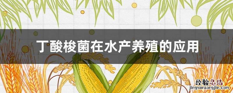 丁酸梭菌在水产有什么作用 丁酸梭菌在水产养殖的应用