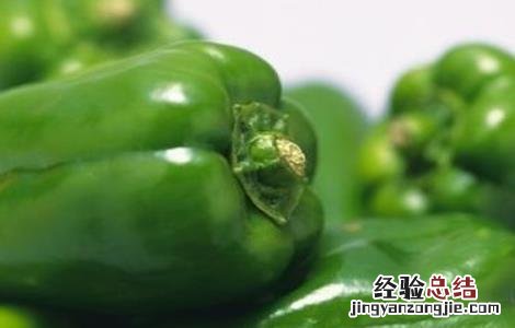 辣椒的功效与作用及注意事项 辣椒的功效与作用、禁忌和食用方法