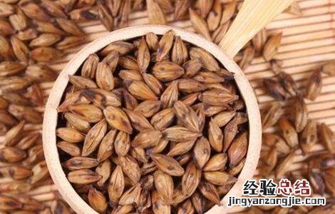 大麦茶的功效与作用及禁忌是什么 大麦茶的功效与作用及禁忌