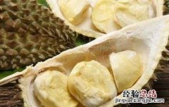 榴莲的功效和营养价值与鸡蛋比怎样 榴莲的功效和营养价值