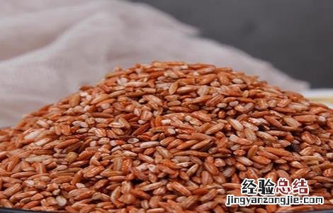 红糯米的功效与作用及食用方法 红糯米的功效与作用及食用方法黑