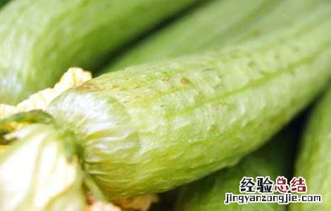 丝瓜减肥可以吃么 吃丝瓜可以减肥吗