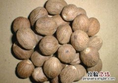 肉豆蔻的营养价值