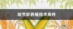 斑节对虾养殖 斑节虾养殖技术条件