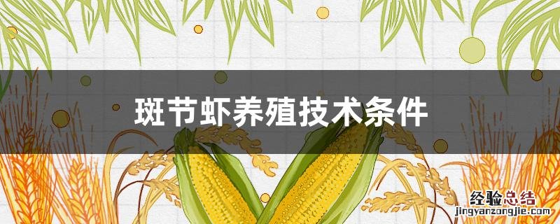 斑节对虾养殖 斑节虾养殖技术条件