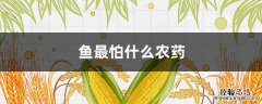 鱼最怕什么农药 鱼最怕什么农药?