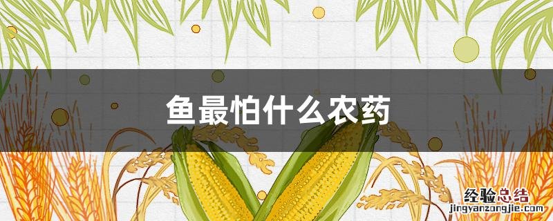 鱼最怕什么农药 鱼最怕什么农药?