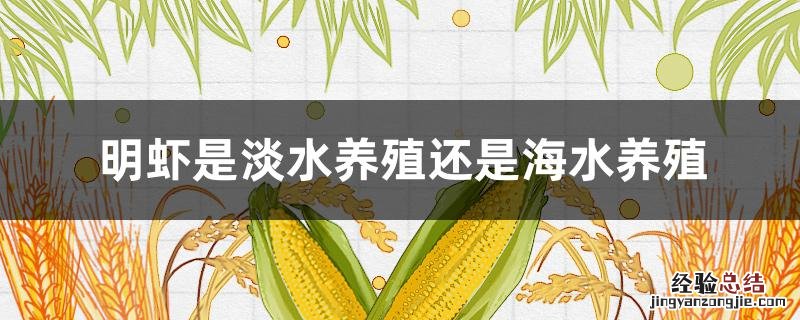 明虾是淡水养殖还是海水养殖 明虾是什么水养殖的