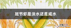 斑节虾是淡水还是咸水 斑节虾是淡水还是海水