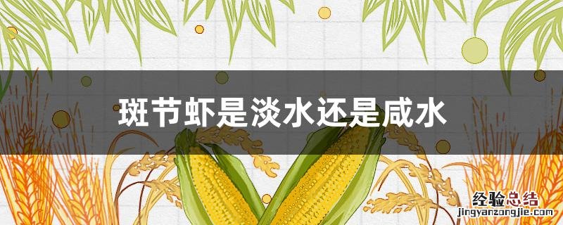 斑节虾是淡水还是咸水 斑节虾是淡水还是海水