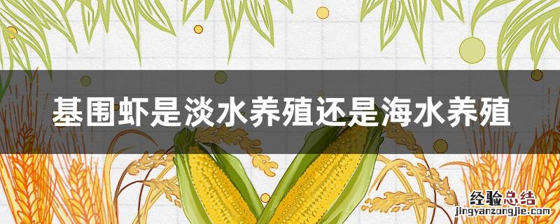 基围虾是淡水养殖还是海水养殖 基围虾是淡水养殖还是海水养殖的味道好