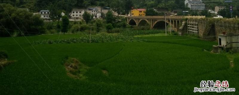 什么叫坪坝 坪坝是什么样子