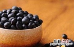 黑豆的功效与作用 黑豆的功效与作用禁忌湿气重