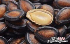 西瓜子的功效与作用及禁忌 西瓜子的功效与作用及禁忌和副作用