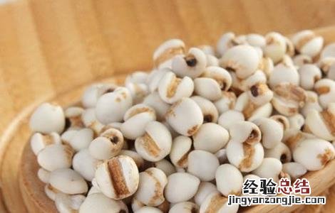 薏米的功效与作用 薏米的功效与作用禁忌哪些人不能吃