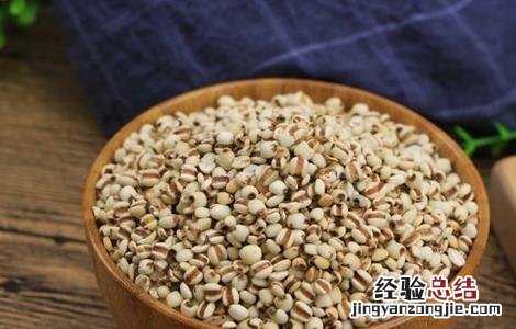 薏米的功效与作用 薏米的功效与作用禁忌哪些人不能吃
