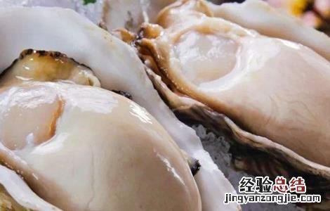 生蚝的功效 生蚝的功效与作用及营养价值