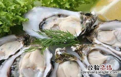 生蚝的功效 生蚝的功效与作用及营养价值