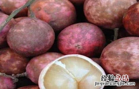 木奶果的功效与作用 木奶果的药用价值