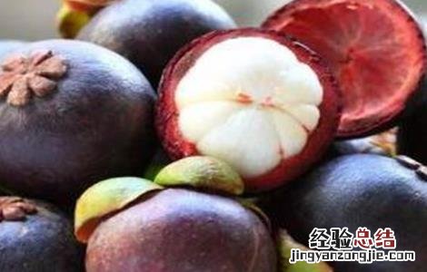 山竹的功效与作用 山竹的功效与作用及营养