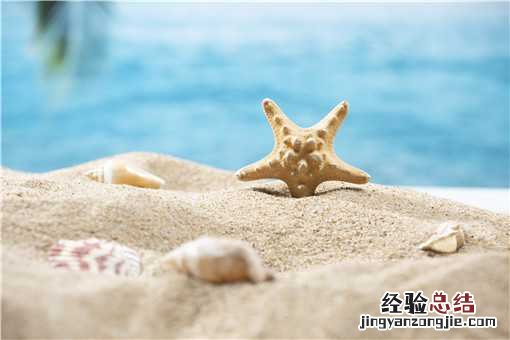 法螺是几级保护动物吗 法螺是几级保护动物