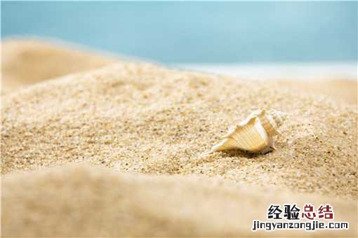 法螺是几级保护动物吗 法螺是几级保护动物