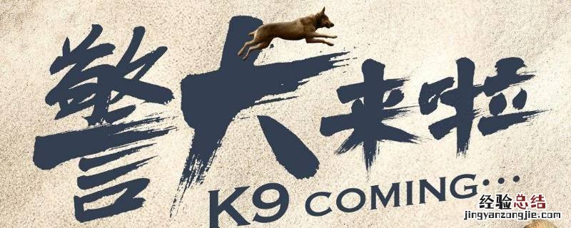 警犬来了华哨的扮演者 华哨警犬是什么电视剧