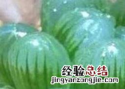 冰灯玉露的养殖方法和注意事项 冰灯玉露的养殖方法和注意事项图片