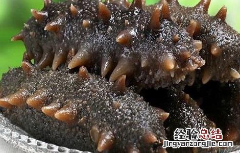 海参的功效 海参的功效海参适合什么人吃