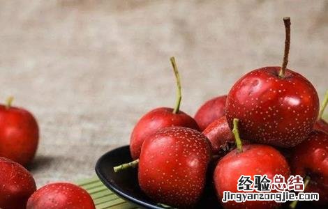 山楂的功效与作用 山楂的功效与作用与主治