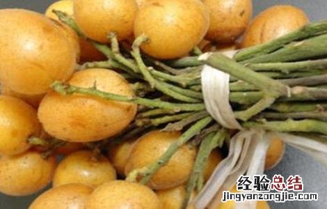 黄皮果的功效与作用 黄皮果的功效与作用及禁忌