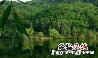 博山旅游景点大全排名 博山旅游景点