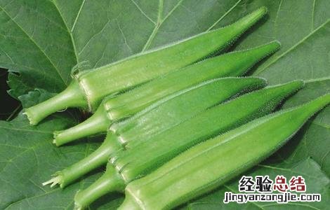 秋葵的功效与作用及营养 秋葵的功效