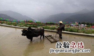 传统农耕文化的句子 关于农耕的句子