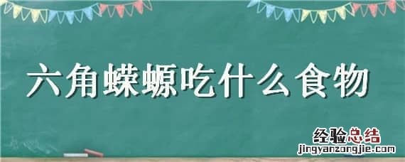 六角蝾螈吃什么食物怎么喂 六角蝾螈吃什么食物