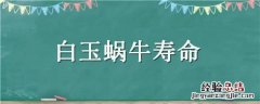 白玉蜗牛的寿命 白玉蜗牛寿命