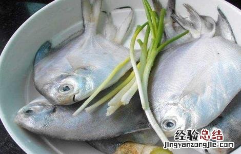 鲳鱼营养价值及功效与作用 鲳鱼营养价值及功效